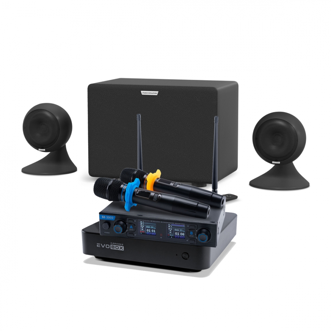 караоке-комплект EVOBOX + EvoSound Sphere 2.1 в Жукове