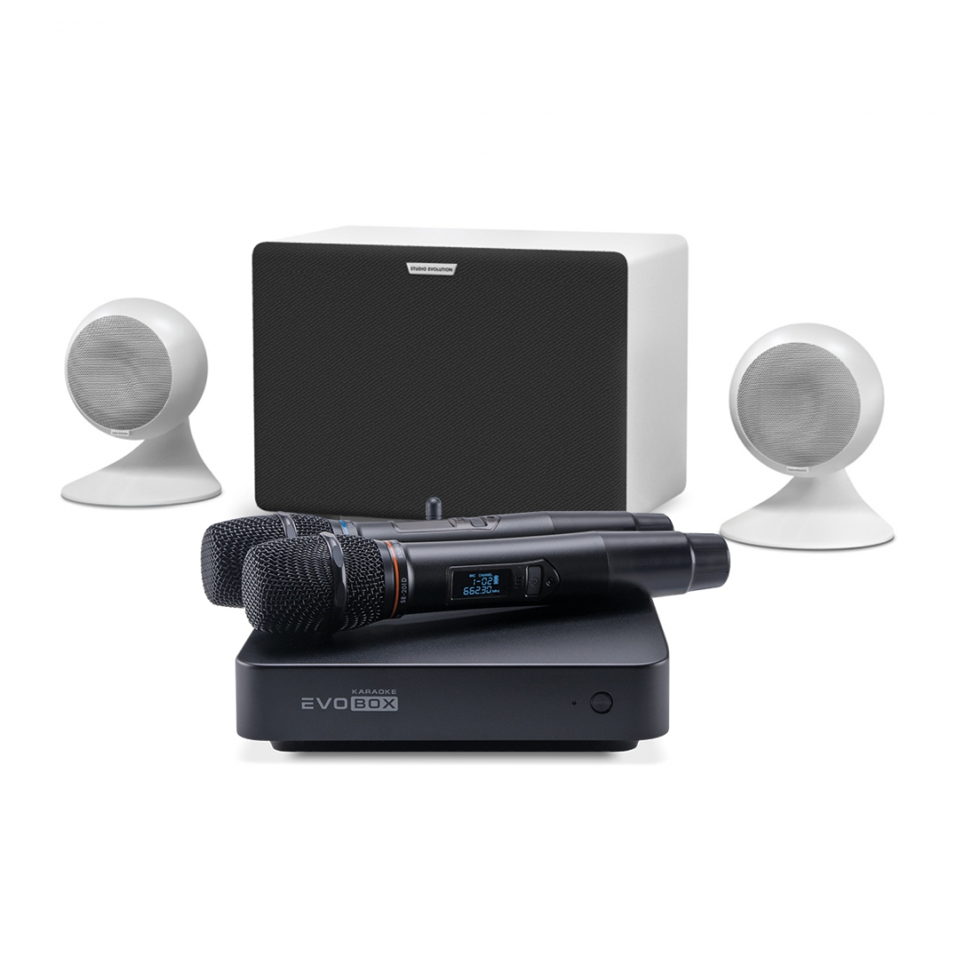 караоке-комплект EVOBOX Classic + EvoSound Sphere 2.1 в Жукове