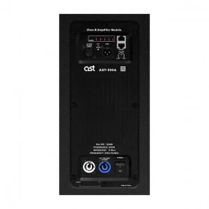 Активная акустическая система AST-310A в Жукове