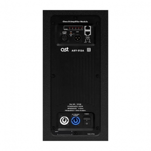 Активная акустическая система AST-312A в Жукове