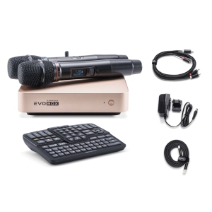 EVOBOX Classic караоке-система для дома в Жукове