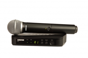 SHURE BLX24E/PG58 M17 вокальная радиосистема в Жукове
