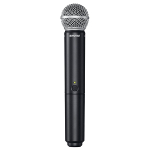SHURE BLX288E/PG58 M17 вокальная радиосистема в Жукове